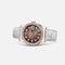 Rolex Datejust 36 Everose Strap Black Mother of Pearl Diamonds (116185-0004)