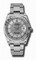 Rolex Datejust Silver Automatic White Gold Bezel Steel Ladies Watch 116234SSTSO