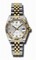 Rolex Datejust Silver Dial Automatic Stainless Steel and 18kt Gold Ladies Watch 178273SJDJ