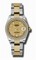 Rolex Datejust Champagne Dial Automatic Stainless Steel and 18kt Gold Ladies Watch 178383CSO