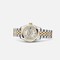 Rolex Lady-Datejust 26 Rolesor Silver Diamond Jubilee (179163-0062)