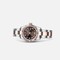 Rolex Lady-Datejust 26 Rolesor Everose Fluted Chocolate Oyster (179171-0076)