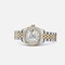 Rolex Lady-Datejust 26 Rolesor Diamond Mother-of-Pearl Diamond Jubilee (179383-0006)