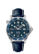 Omega Seamaster Diver 300M Chronometer James Bond Rubber (2920.80.91)