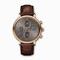 IWC Portofino Ardoise Dial Chronograph Brown Alligator Leather Men's Watch IW391021