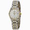 Longines Master Collection Two Tone Ladies Watch L21285777
