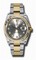 Rolex Datejust Grey Dial Automatic Stainless Steel and 18kt Yellow Gold Men's Watch 116233GYDO