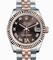 Rolex Datejust Lady Chrocolate Diamond Dial Steel and 18K Everose Gold Automatic Watch 178271CHRDJ