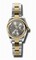 Rolex Datejust Grey Dial Steel and Yellow Gold Ladies Watch 179163GYRO