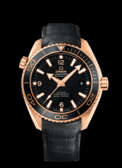 Omega Seamaster Planet Ocean 600M Co-Axial 45.5mm Ceragold (232.63.46.21.01.001)