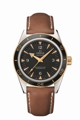 Omega Seamaster 300 Master Co-Axial Steel Two-Tone / Strap (233.22.41.21.01.001)