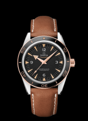 Omega Seamaster 300 Master Co-Axial Steel Two-Tone Sedna / Strap (233.22.41.21.01.002)