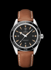 Omega Seamaster 300 Master Co-Axial Steel / Strap (233.32.41.21.01.002)