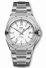 IWC Ingenieur Automatic Silver (IW3239-04)