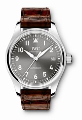 IWC Pilot's Watch 36 Grey ( IW3240-01)