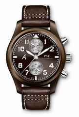 IWC Pilot's Watch Chronograph Edition Antoine De Saint Exupery Edition The Last Flight Platinum (IW3880-05)